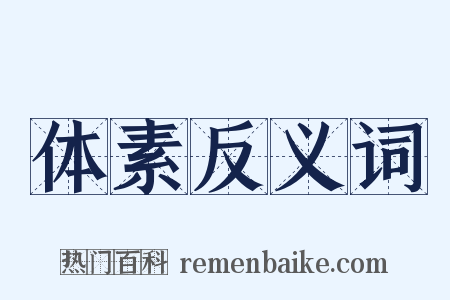 体素反义词是什么意思的图片